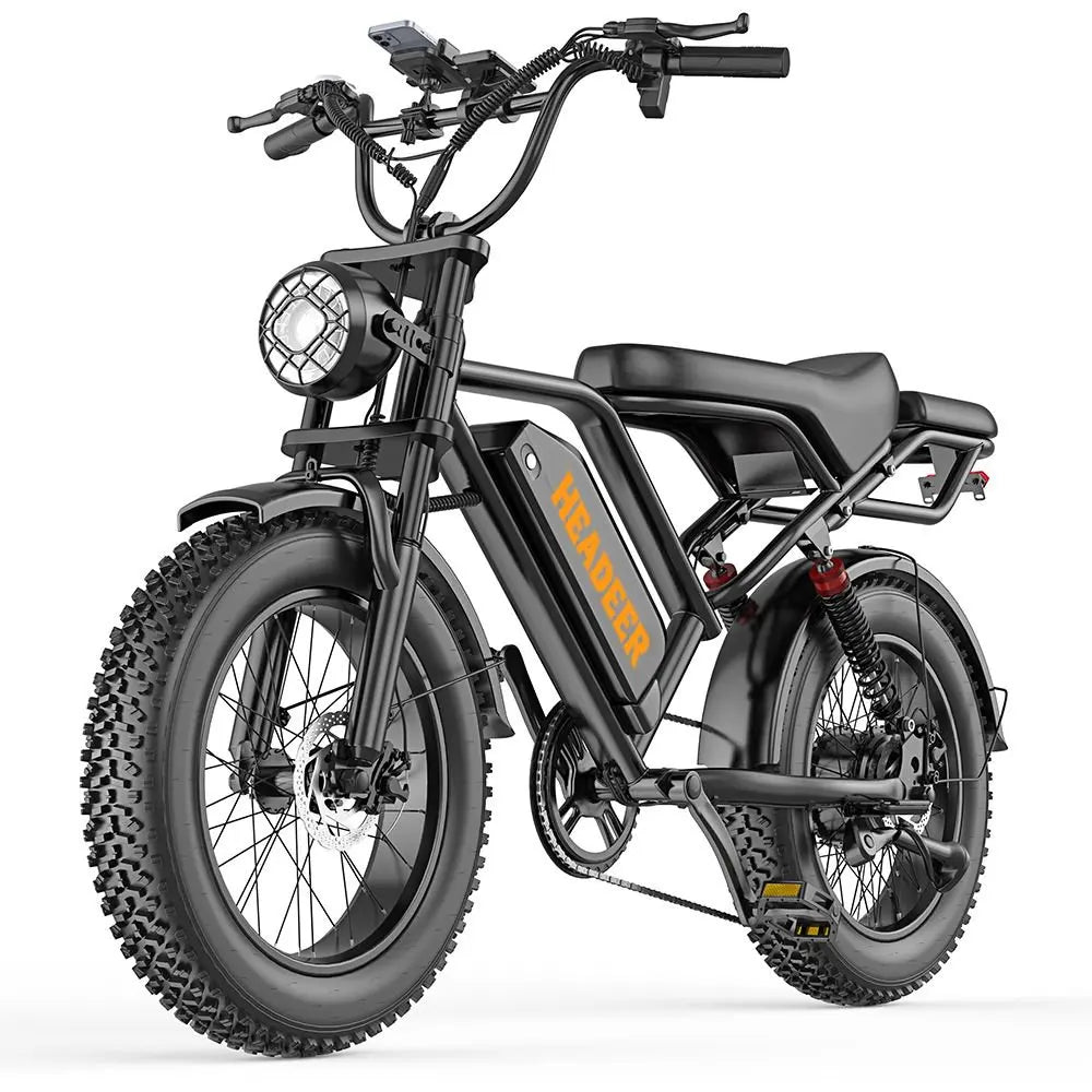 Bici Elettrica Fat Bike 750W 48V 20Ah