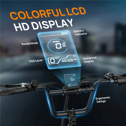 Urlife E-Bike Fat Tire 1000W 48V