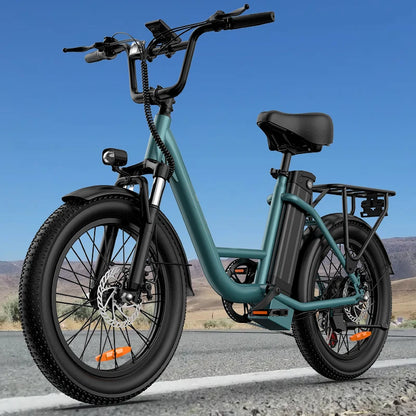 Urlife E-Bike Fat Tire 1000W 48V