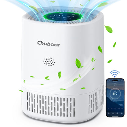 Purificatore