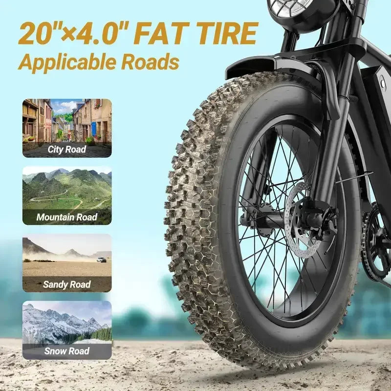 Bici Elettrica Fat Bike 750W 48V 20Ah