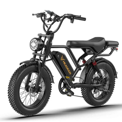 Bici Elettrica Fat Bike 750W 48V 20Ah