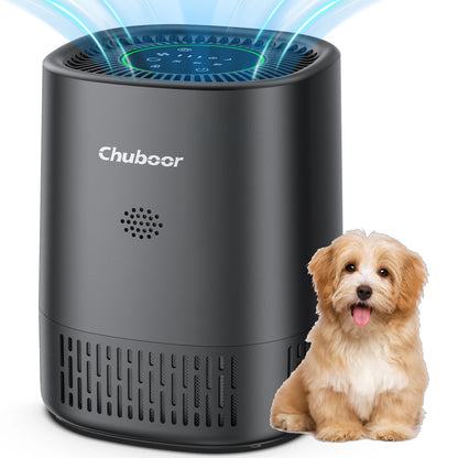 Purificatore