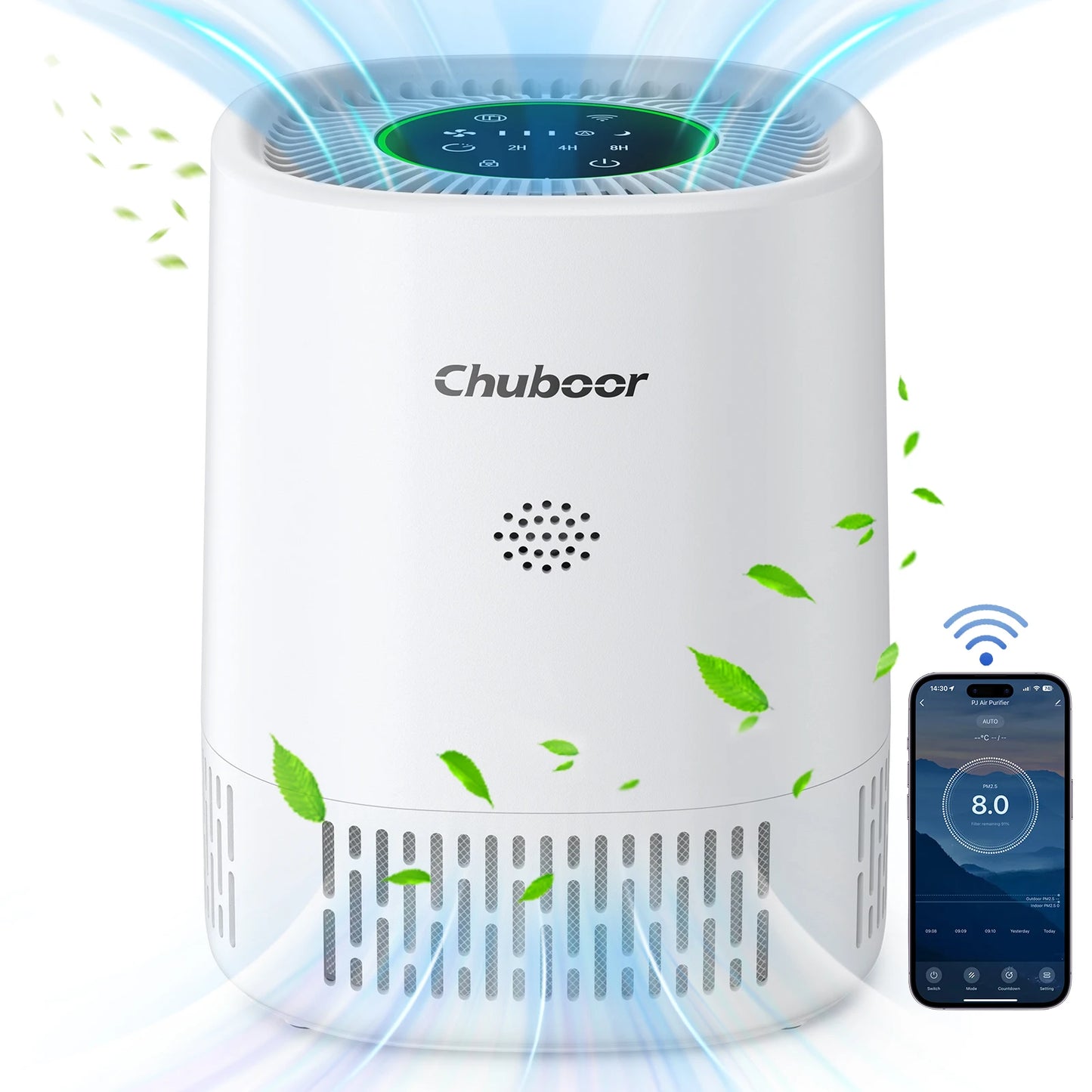 Purificatore