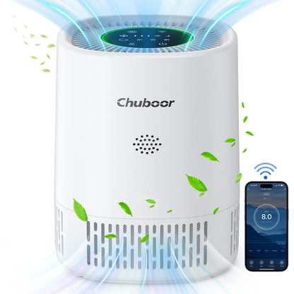 Purificatore