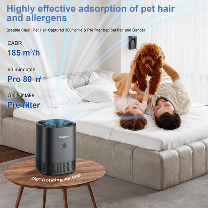 Purificatore