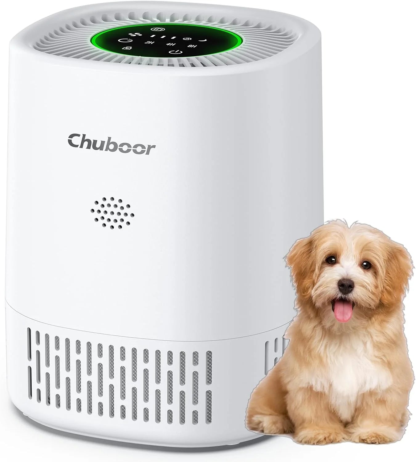 Purificatore