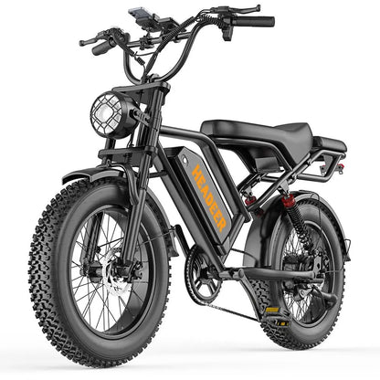 Bici Elettrica Fat Bike 750W 48V 20Ah