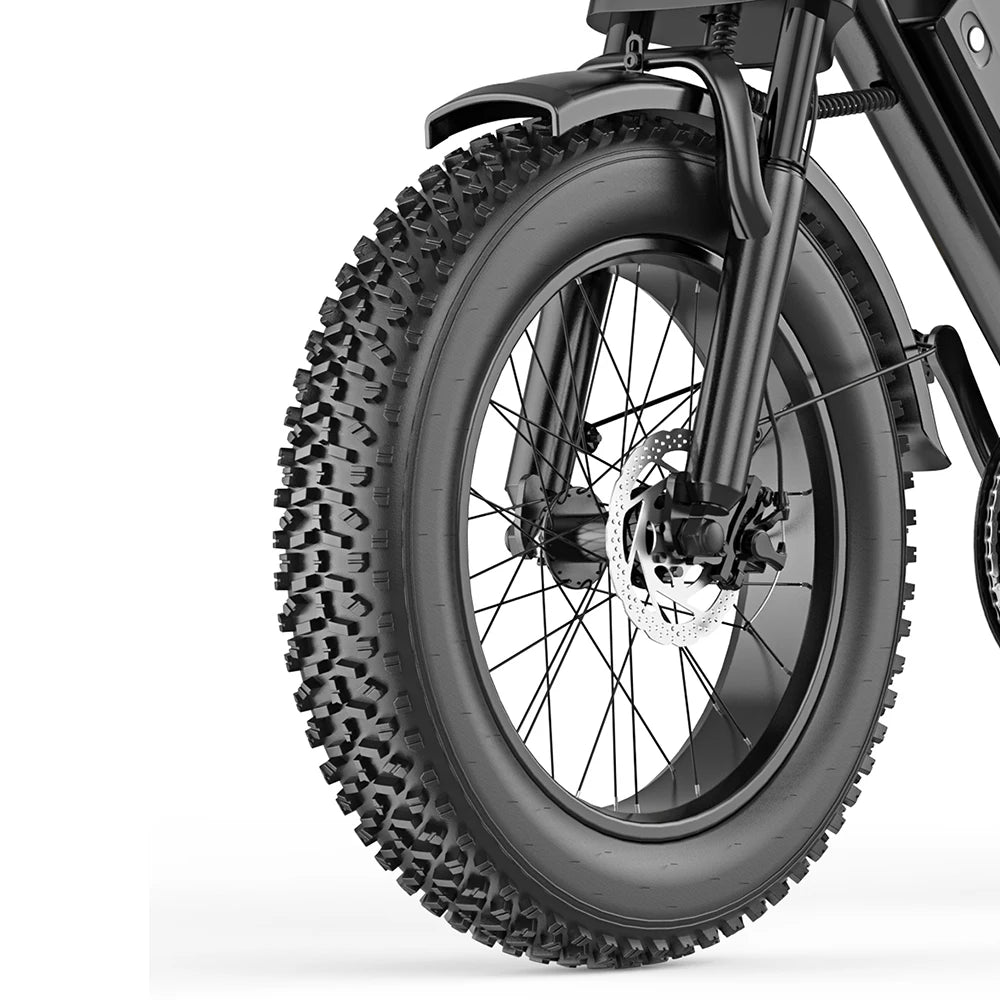 HEADER Bici Elettrica Fat Bike 750W BK20